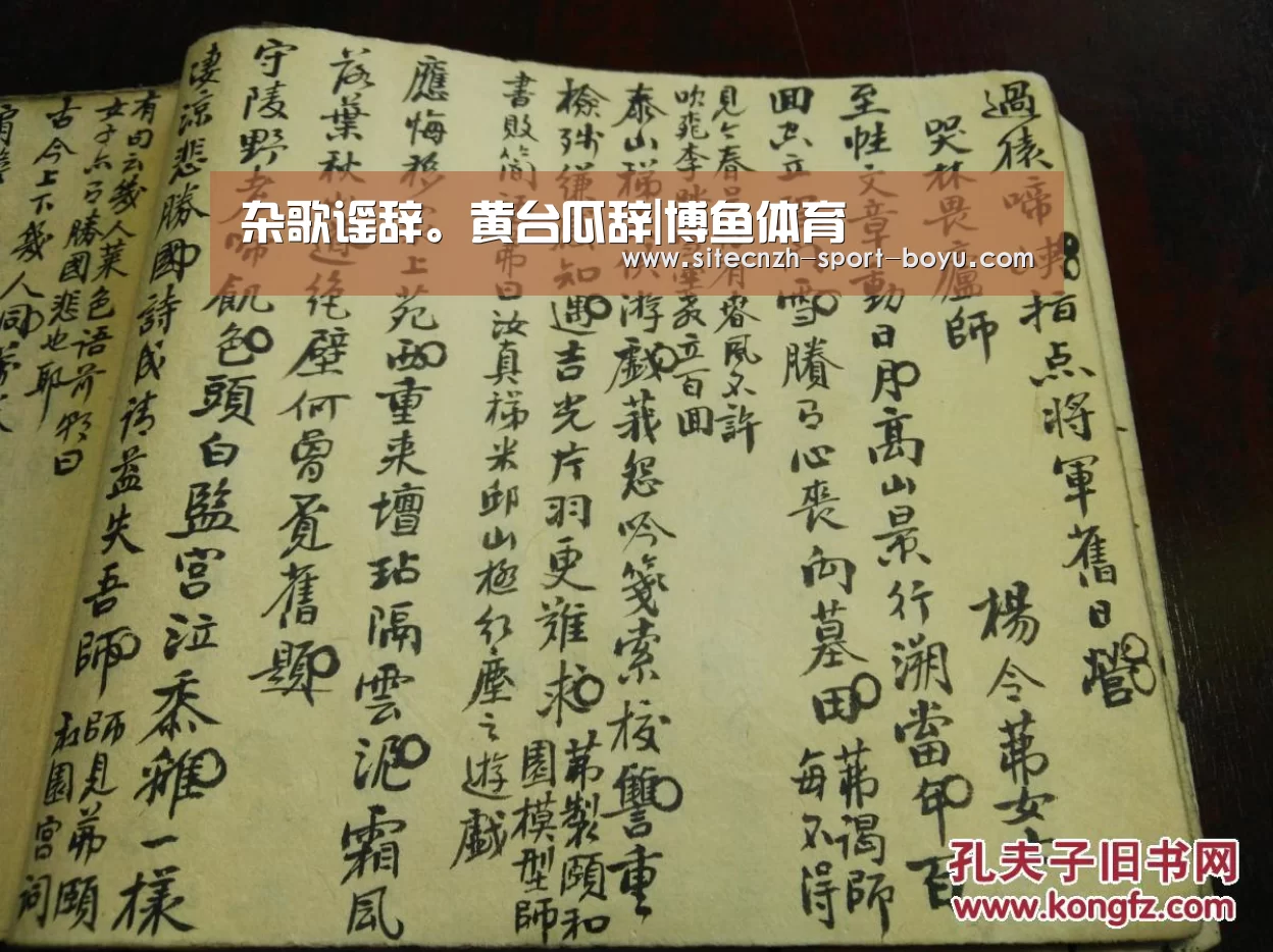  boyu tiyu